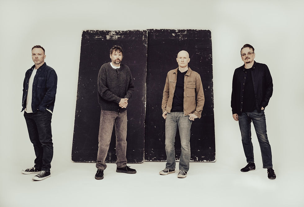PINEAPPLE THIEF