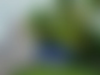 TURBULÊNCIA: Com pouco trabalho, Superior Tribunal Militar esbanja dinheiro do contribuinte com viag