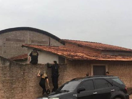AGORA: PF combate comércio ilegal de madeira