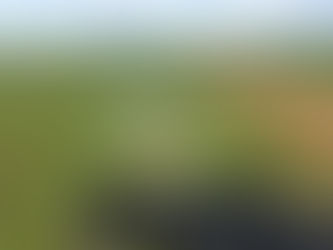 EXTRA: Avião carregado com meia tonelada de cocaína é interceptado por FAB e PF