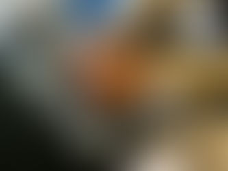 HOJE: Imóveis da União desocupados serão vendidos pela internet