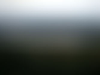 É NOTÍCIA: Brasil atinge meta de redução de emissões de carbono na área florestal