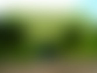 EXTRA: Dez detentos são mortos em nova chacina no Ceará