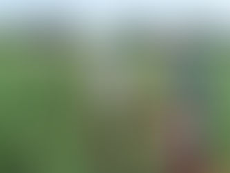 HOJE: Produtores têm até segunda para aderir ao Refis Rural, fora da dívida ativa