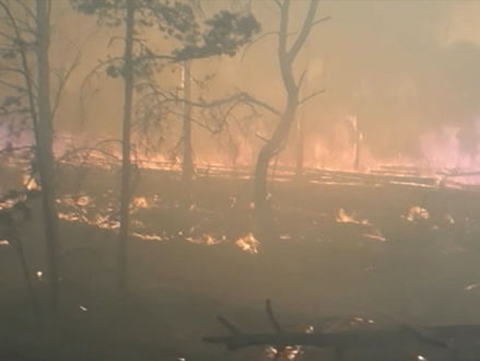 MUNDIAL: Bombeiros temem que incêndios florestais em Chernobyl liberem radiação nuclear
