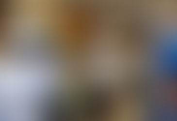 CAPITAL: Comitiva da ANEEL visita a Usina Hidrelétrica de Jirau em Porto Velho