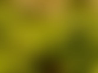 NOVIDADE: Doses diárias de extrato de maconha rejuvenescem cérebro envelhecido