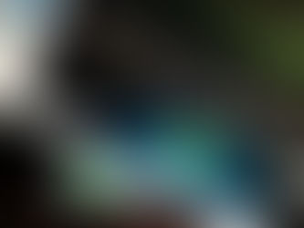 INÉDITO: WhatsApp pede desculpas por 'blackout' mundial