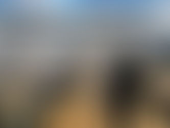 CAPA: Bolivianos são presos pela PF tentando sair do Brasil de forma ilegal