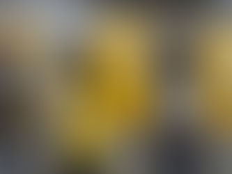 TURBULÊNCIA: INSS não pode cortar aposentadoria de segurados por invalidez