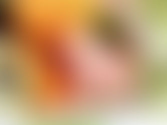 HOJE: PF investigará nascimento de bebês de casais russos
