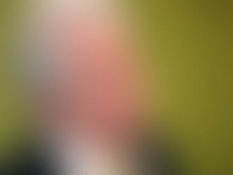 DESTAQUE: Presidente do Banco do Brasil, Rubem Novaes, pede demissão