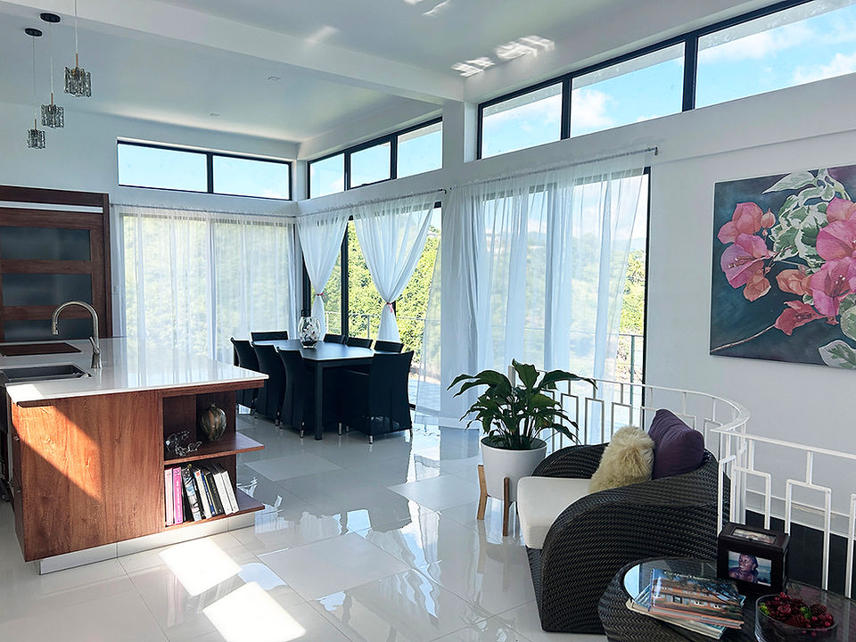 Dining room and white floor and painting of bougainvilleas ad view outside