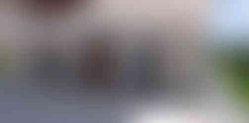 Modern sustainable architecture showing large windows and views to exterior