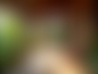 Tropical porch scene with greenery.