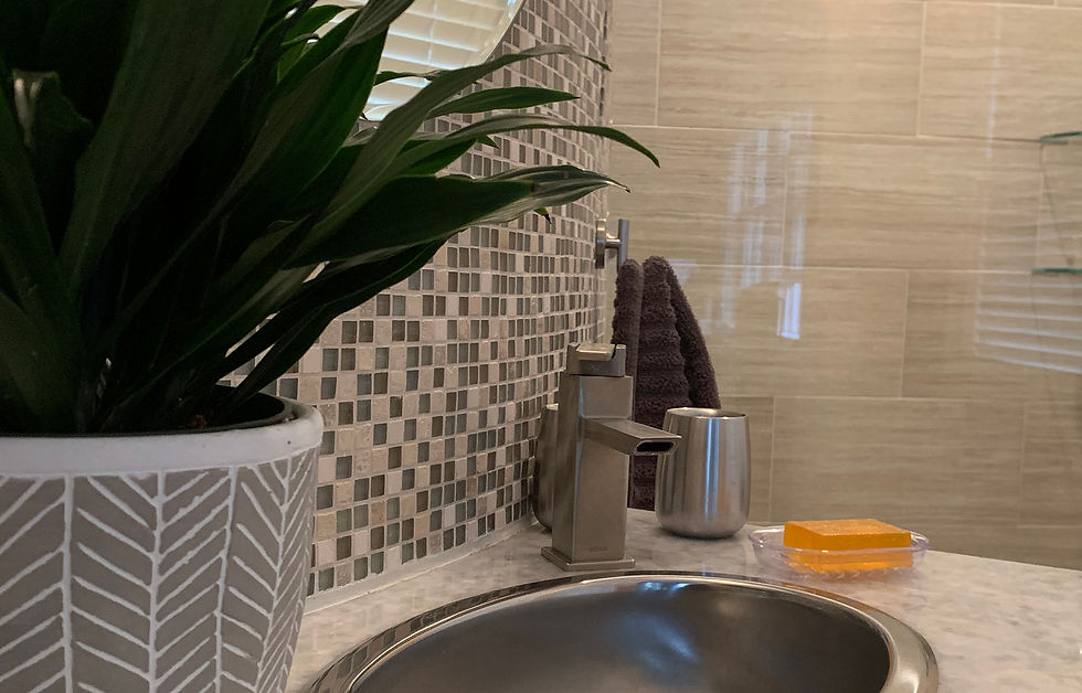 Newport Bathroom Renovation