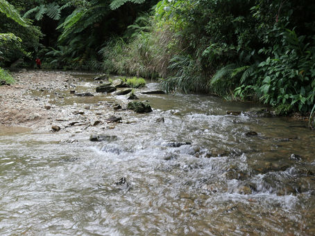 Water flowing in a river.