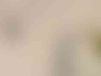 White tile with grey accents on the wall of a bathroom