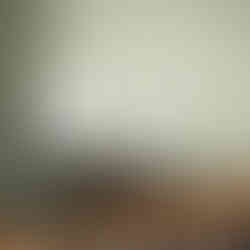 staircase railing and green wall