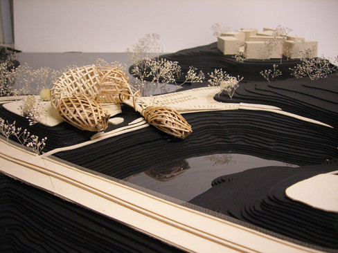 Physical model on the physical topography model