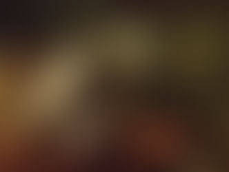 The parallel between the Industrial and Data Science Revolution, and how their dynamic stands to sha