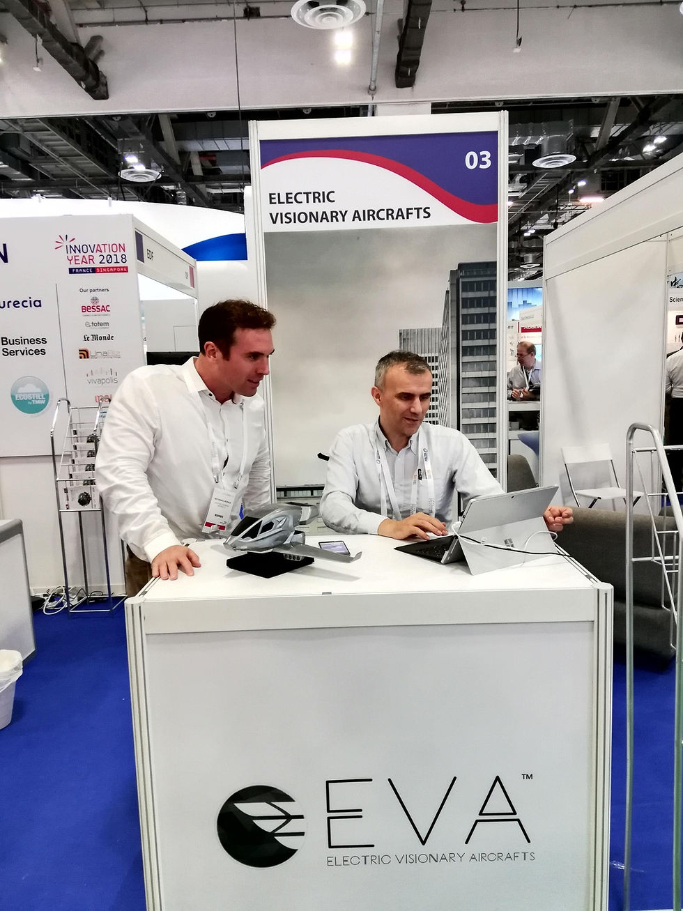 EVA and N-Strategy Consulting Services