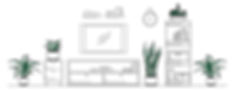 Vector-Plant-Set-01.png