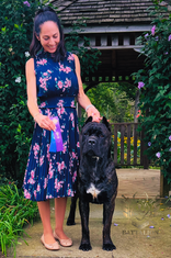 Large dog stands next to its handler