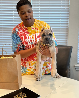 Lady holding a puppy on a table