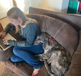 Irish Wolfhound Dakota Ash