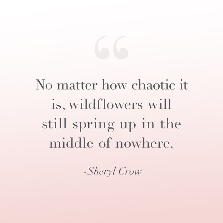 Sheryl Crow