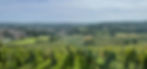 Champagne André Dormay