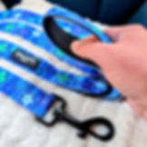 Thumbnail: Bright Buttons Blue Leash