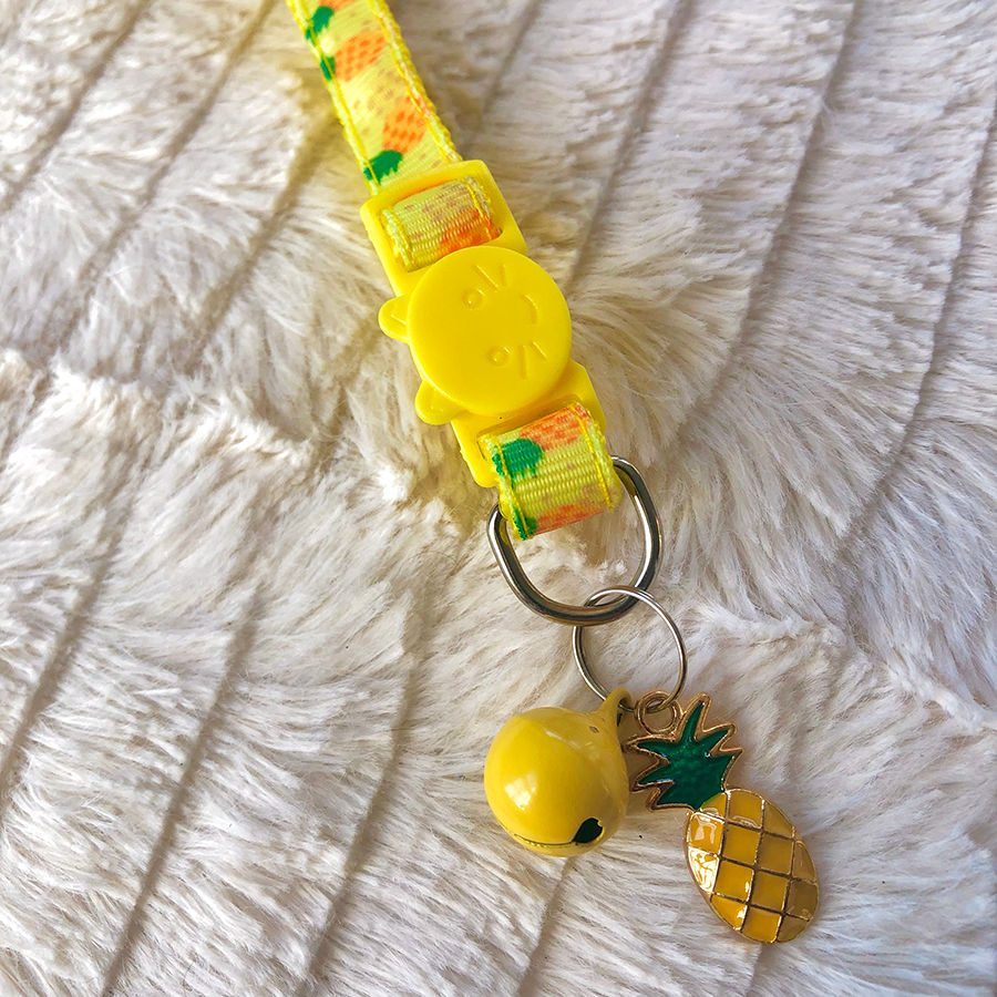 Thumbnail: Fun Fruit Breakaway Safety Collar with Charms