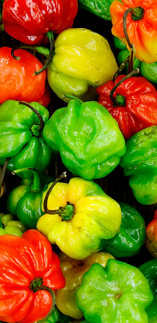 scotch-bonnet-peppers-recipe.png