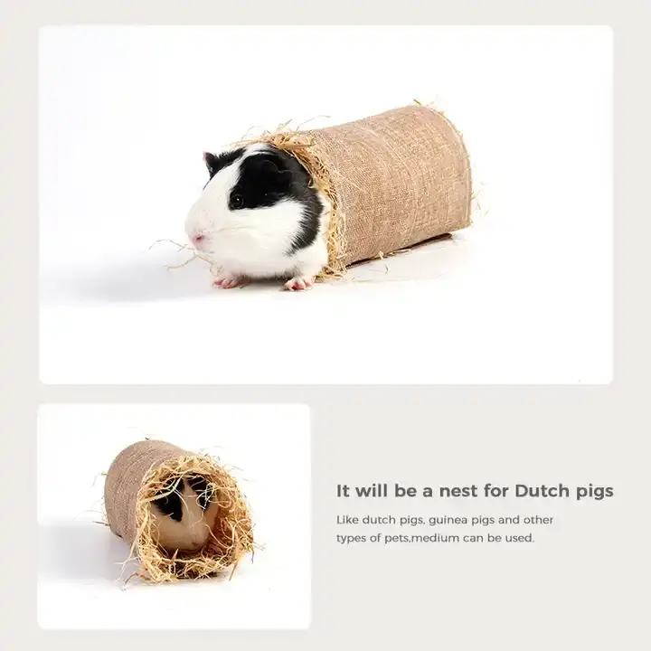 Thumbnail: Rabbit Tunnel