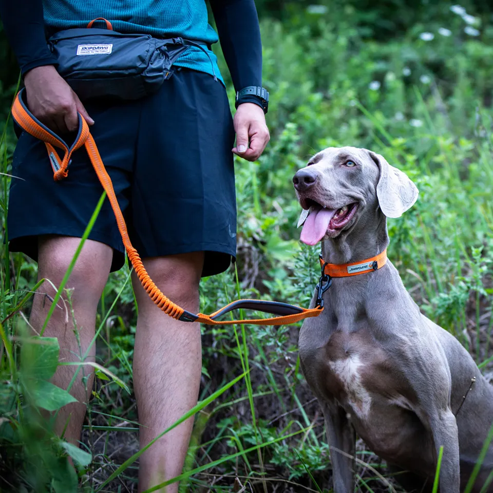 Thumbnail: Skipdawg Gentle Pull Dog Lime Leash L