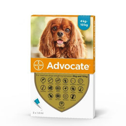 ADVOCATE SPOT ON 4-10kg 1pipette