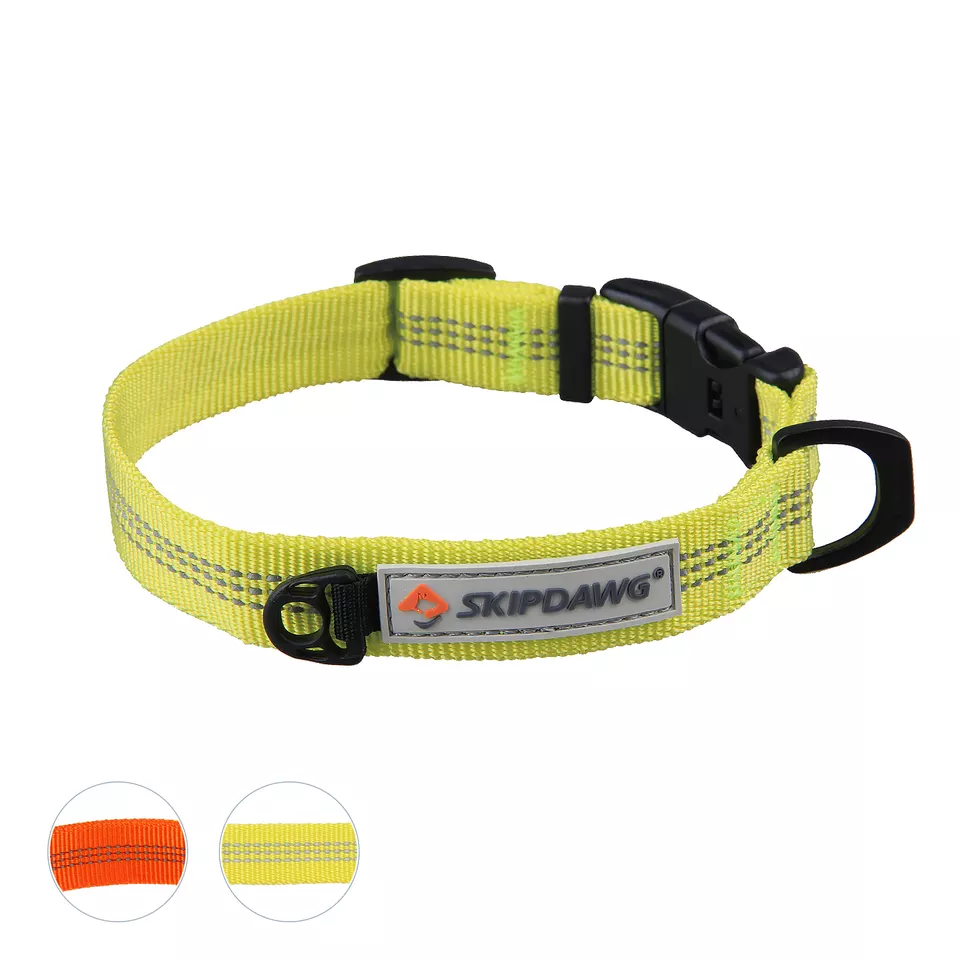 Thumbnail: Skipdawg Pathfinder Collar - Lime