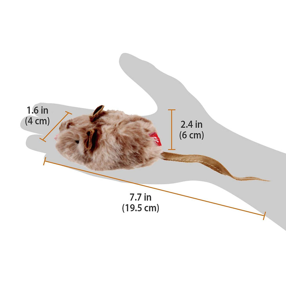 Miniature : Gigwi Mouse Melody Chaser