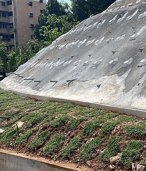 WhatsApp Image 2022-05-23 at 11.27_edited.jpg