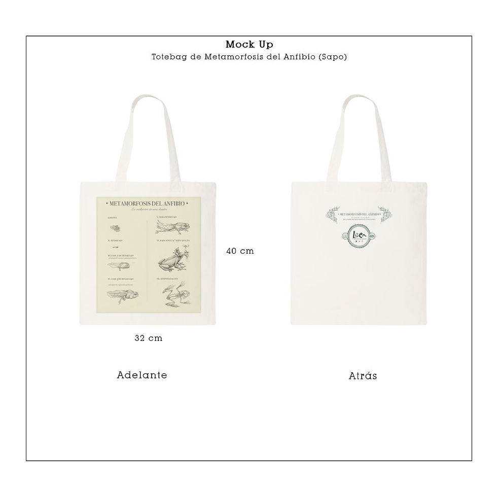 Miniatura: Tote Bag de Metamorfosis del Anfibio (El Sapo)