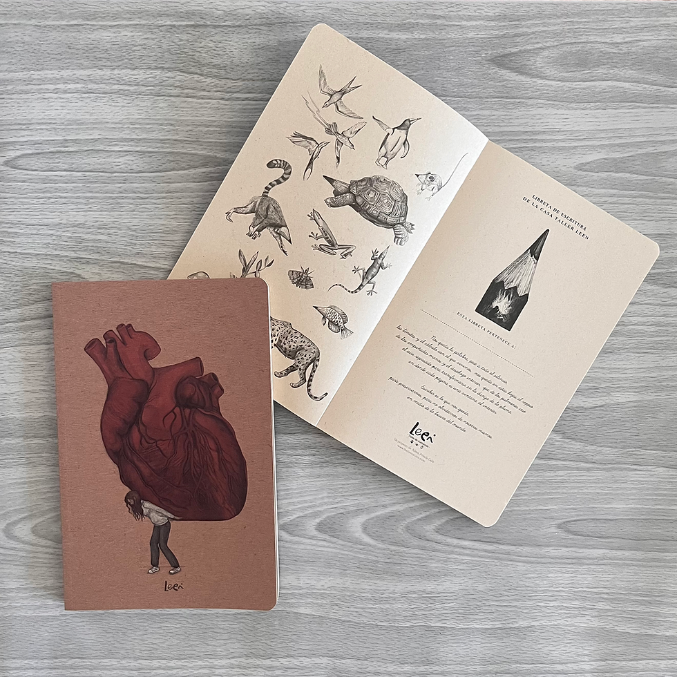 Miniatura: Cuadernos Punteados  (De escritura)