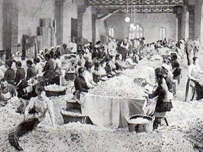 Many women processing roses