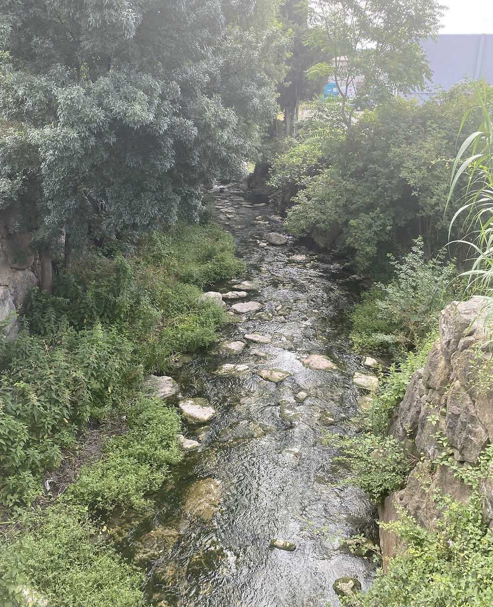 Mourachonne stream