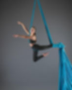 LEVEL 1+ Silks Performance Workshop