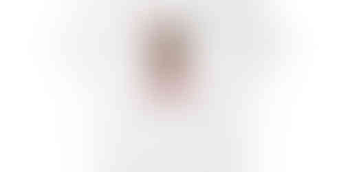 white t-shirt with French Bulldog design