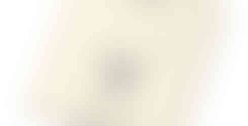 White t-shirt with French Bulldog design