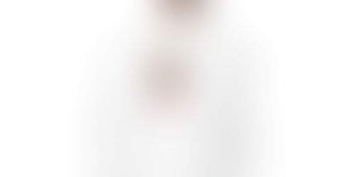 White hoodie with French Bulldog design