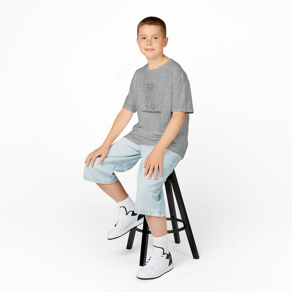 Thumbnail: Young boy sitting on a stool modeling a grey kids Labrador line art graphic t-shirt